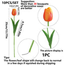 Tulip Bliss Bouquet.