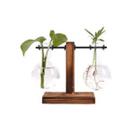 Hydroponic Terrarium Vase for Plants, Glass Bottle, Small Green Plant in a Pot for Office and Home Table Decoration.
