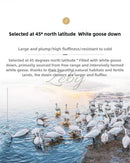 High Grade 100% White Goose Down Quilt Winter Warm Feather Duvet Queen King Cozy Lightweight 3D Bread Comforter Pinch Pleated.