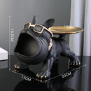 OyalPaw Decorative Storage Box.