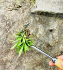 Manual Weeding Machine Set: Mower Sickle + Road Crack Weeding Tool + Garden Hand Shovel - Heavy Duty Carbon Steel for Outdoor.