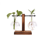Hydroponic Terrarium Vase for Plants, Glass Bottle, Small Green Plant in a Pot for Office and Home Table Decoration.