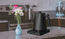 TERLEIA Electric Kettle – Compact Stainless Steel Design.