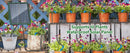 Solar Automatic Irrigation System for Garden Balcony, Drip Irrigation Hose.