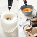 BALASHOV USB Electric Milk Frother.