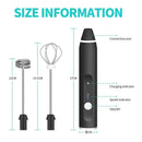 BALASHOV USB Electric Milk Frother.