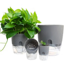 Transparent Double Layer Plastic Flower Pot Self Watering Flowerpot Cotton Rope Watering Plant Pot with Injection Port.