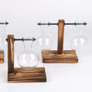 Hydroponic Terrarium Vase for Plants, Glass Bottle, Small Green Plant in a Pot for Office and Home Table Decoration.
