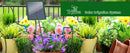 Solar Automatic Irrigation System for Garden Balcony, Drip Irrigation Hose.