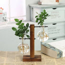 Hydroponic Terrarium Vase for Plants, Glass Bottle, Small Green Plant in a Pot for Office and Home Table Decoration.