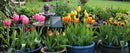 Solar Automatic Irrigation System for Garden Balcony, Drip Irrigation Hose.