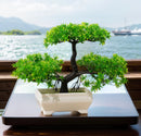Artificial Plants Bonsai Small Tree Simulation Pot Plants Fake Flowers Table Potted Ornaments for Hotel Garden Home Decor planta.