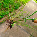 Manual Weeding Machine Set: Mower Sickle + Road Crack Weeding Tool + Garden Hand Shovel - Heavy Duty Carbon Steel for Outdoor.