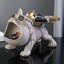 OyalPaw Decorative Storage Box.