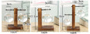 Hydroponic Terrarium Vase for Plants, Glass Bottle, Small Green Plant in a Pot for Office and Home Table Decoration.