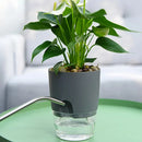 Transparent Double Layer Plastic Flower Pot Self Watering Flowerpot Cotton Rope Watering Plant Pot with Injection Port.