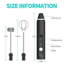 BALASHOV USB Electric Milk Frother.