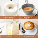 BALASHOV USB Electric Milk Frother.